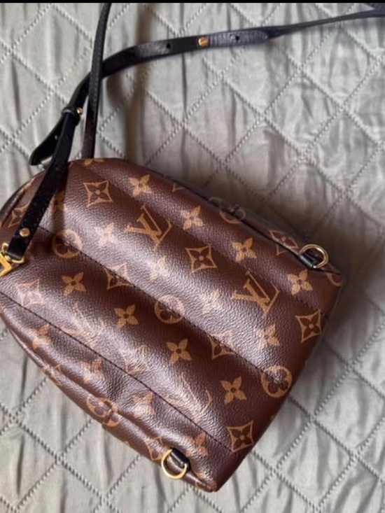 Louis Vuitton palm spring mini backpack